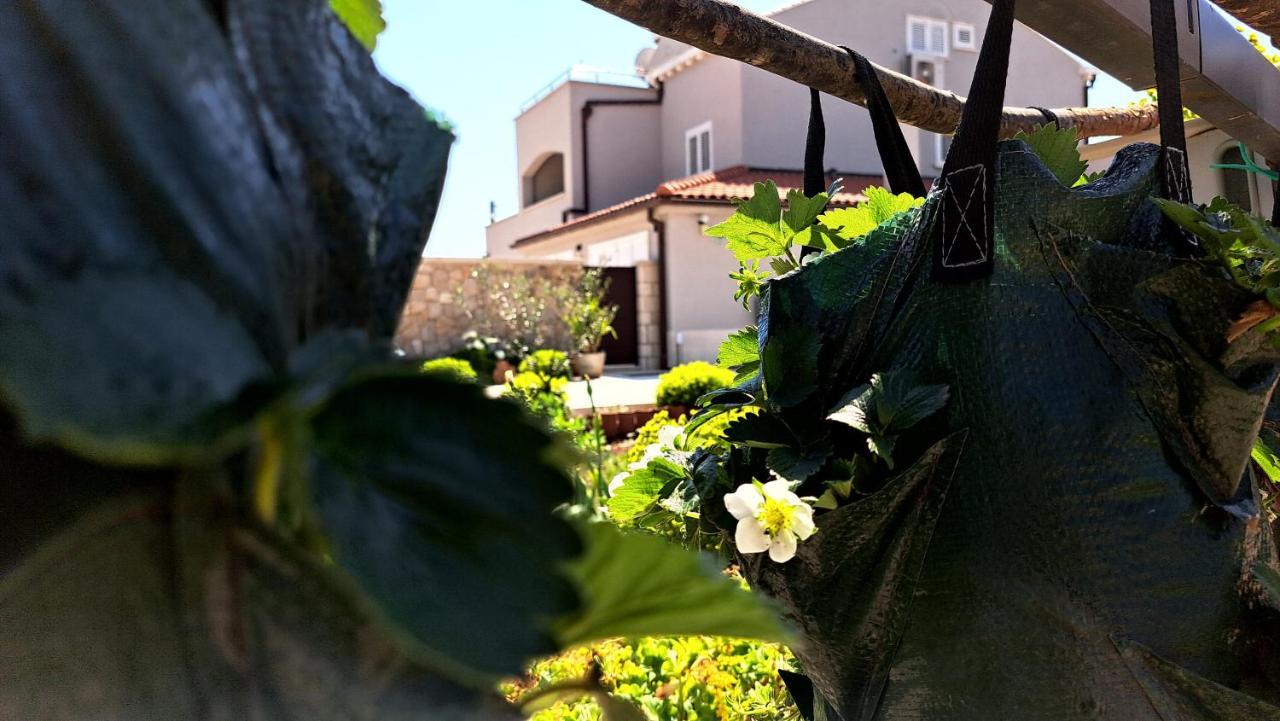 Dubrovnik Airport Apartment Tea Durovici 외부 사진